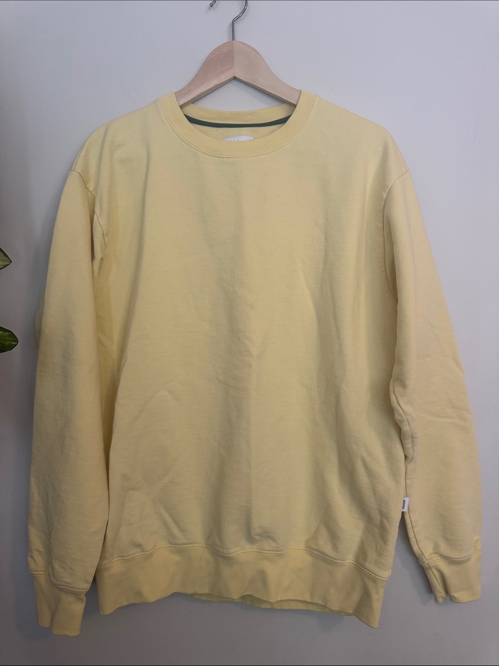 Men's Crewneck Sweatshirt in Pale Yellow